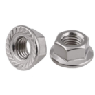 SS FLANGE NUT.jpg