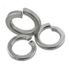 SS FLAT SPRING WASHERS2.jpg